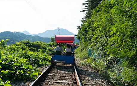 경강 레일바이크